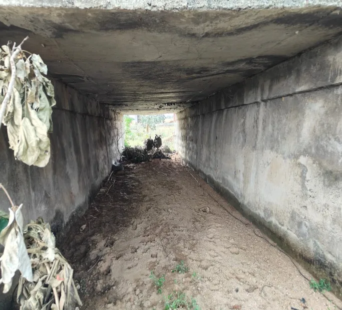 Sarwan–Chakai Road, NH-333C — image 3